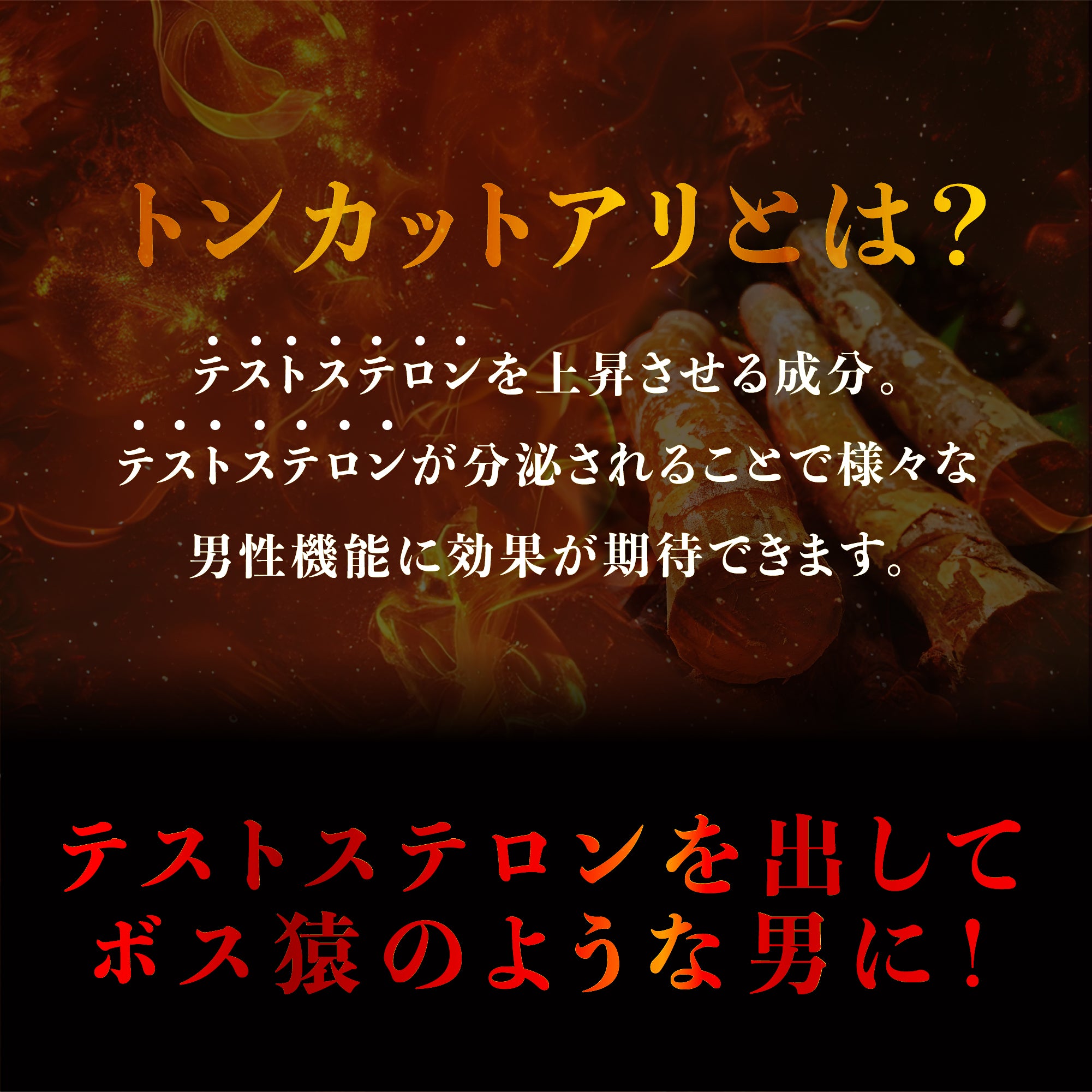 パワートンカットアリ